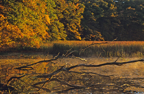 Lake Ontario, near Port Ontario, Canada - HS00900