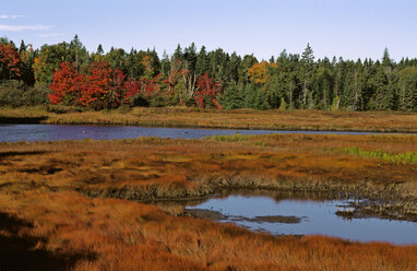 USA, Nationalpark Arcadia, Maine - HS00898