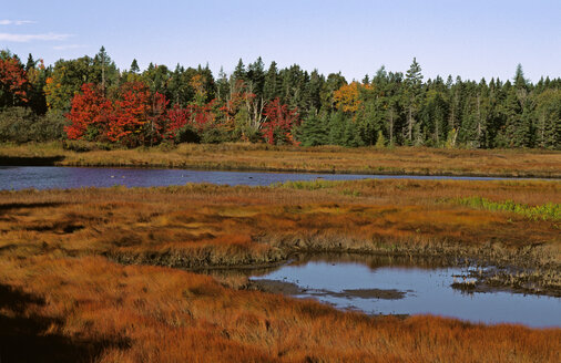 USA, National park Arcadia, Maine - HS00898