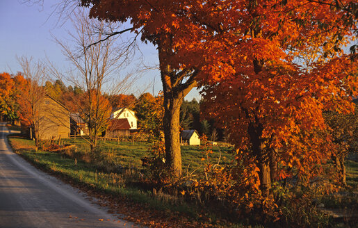 USA, Vermont, Bauernhof bei Weston - HS00897