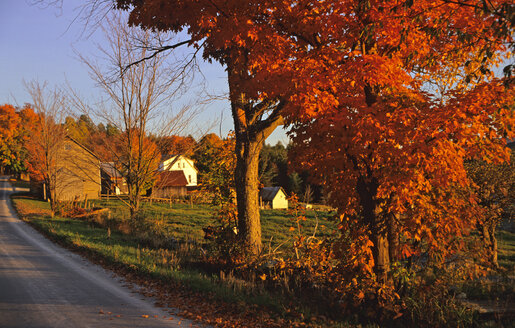 USA, Vermont, Farm near Weston - HS00897