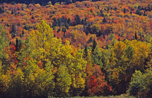 USA, Moosehead Lake - HS00896