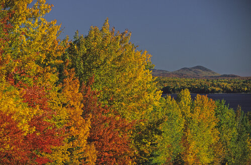 Altweibersommer, USA, Maine - HS00895