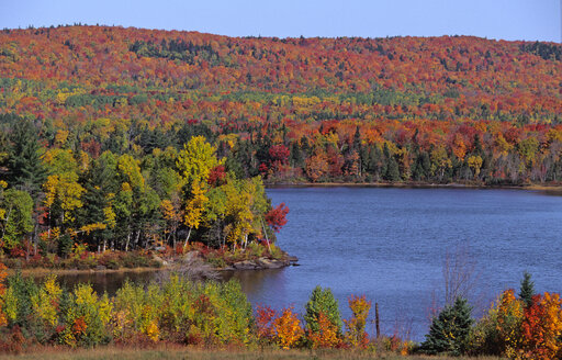 USA, Moosehead Lake, Greenville, Maine, Altweibersommer - HS00893