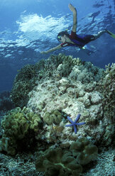 Schnorchler über Korallen - GN00538