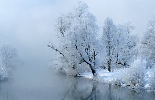 Deutschland, Bayern, Fluss Amper, schneebedeckter Baum - EK00312