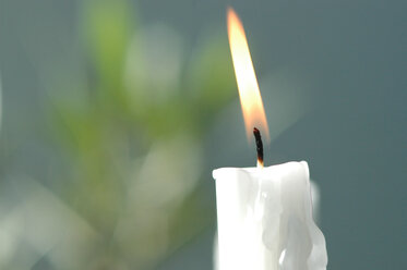 Weiße Kerze brennt, Nahaufnahme - 00980AS