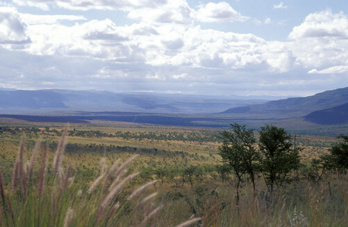 Südafrika, Panorama an der Route R 63, Karoo, Bedford, Ostkap - 00955MS