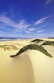 Sanddünen an der Mündung des Buchmans River, Port Alfred, Ostkap, Südafrika - 00948MS