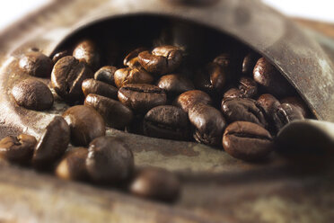Coffee beans, close-up - 00026CS-U