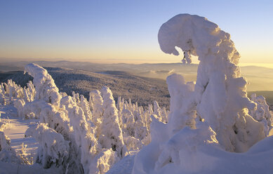 Schneebedeckter Wald, Großer Arber, Bayerischer Wald, Deutschland - HSF00958