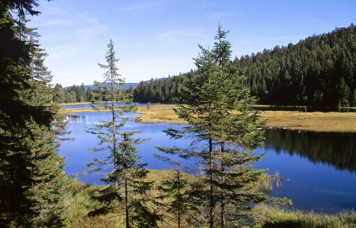 Kleiner Arbersee, Bavarian Forest, Germany - HSF00936