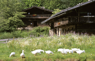 Germany, Bavarian Forest, Farm museum in Tittling - HSF00930