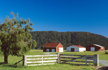 Farm, Fox Clacier, New Zealand - SHF00011