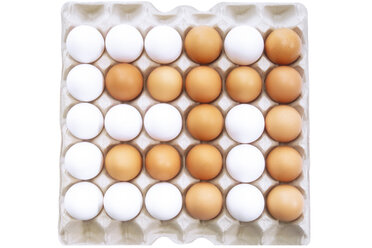 Eggs - 02083CS-U