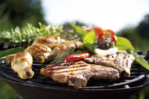 Fleisch auf dem Grill, Nahaufnahme - 02154CS-U