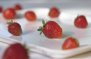 Erdbeeren auf Tablett - 00108AS