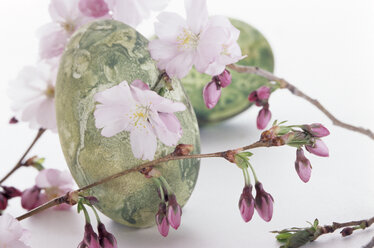 Easter eggs with cherry blossom - 00736AS