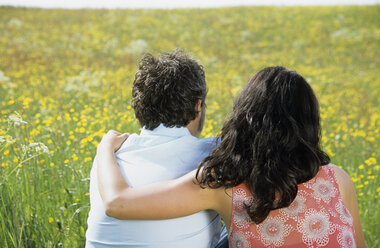 Couple sitting in meadow, rear view - LDF00072