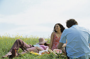 Three young people having picnic - LDF00068