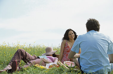 Drei junge Leute beim Picknick - LDF00067