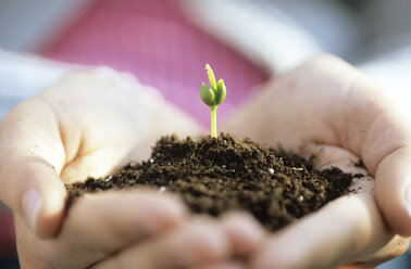 Man holding seedling, close-up - ASF01276