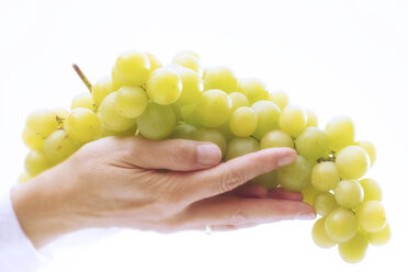 Person holding grapes - 02472CS-U