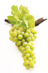 Grapes - 02469CS-U