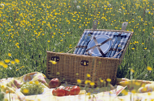 Picnic basket and fruit in meadow - LDF00112