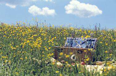 Picknickkorb auf der Wiese - LDF00105