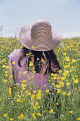 Back of woman sitting in meadow - LDF00088