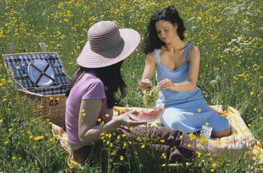 Two young women having picnic - LDF00082