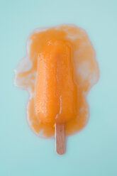 Melted ice lolly stick, overhead view - MNF00081