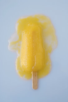 Melted ice lolly stick, overhead view - MNF00078