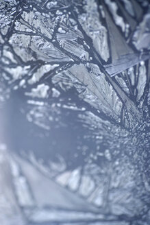 Elements, ice crystals, extreme close-up - MNF00063