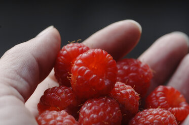 Person mit Himbeeren in der Hand, Nahaufnahme - CRF00690