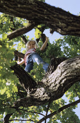 Mädchen auf einem Baum, tiefer Blickwinkel - CRF00633