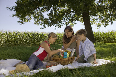 Mutter mit Tochter und Sohn beim Picknick - CKF00125