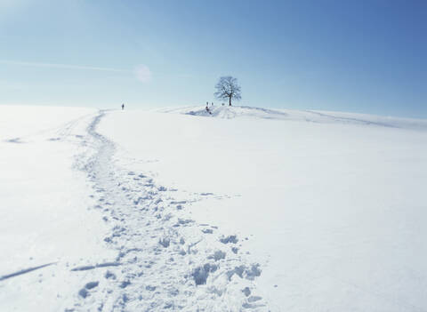 Deutschland, Winterlandschaft, lizenzfreies Stockfoto