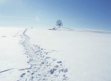 Deutschland, Winterlandschaft - PEF00439