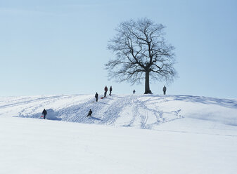 Menschen beim Rodeln auf einem Hügel, Deutschland - PEF00438