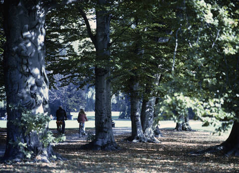 Deutschland, München, Bayern, Englischer Garten, lizenzfreies Stockfoto