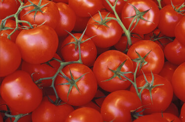 Frische Tomaten, Nahaufnahme - THF00019