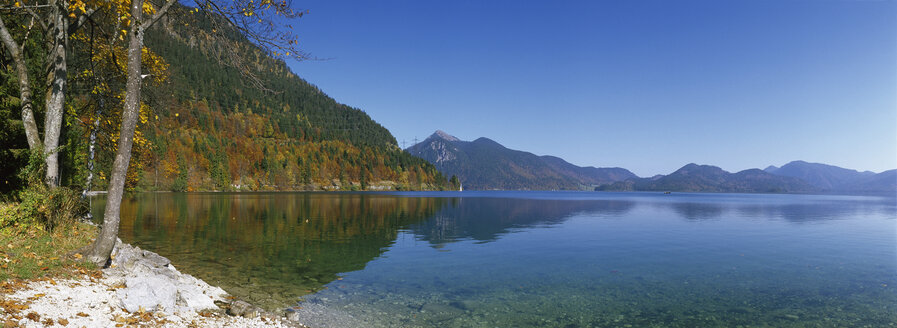 Walchensee, Oberbayern, See im Herbst - MRF00539