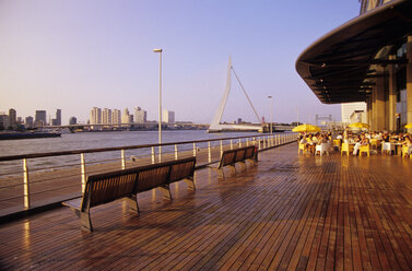 Netherlands, Rotterdam, Erasmus bridge - MSF01633