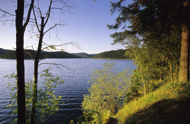 Saalekaskaden at Hohewarte-dam, Thuringia, Germany - MSF01702