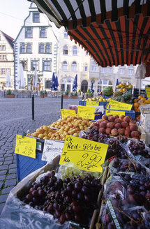 Erfurt, Markt am Domplatz, Thüringen, Deutschland - MSF01657