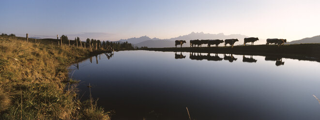 Österreich, Alpen, Salzburger Land - HHF00113