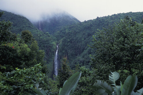 Wasserfall-Nationalpark Guadeloupe - AGF00555