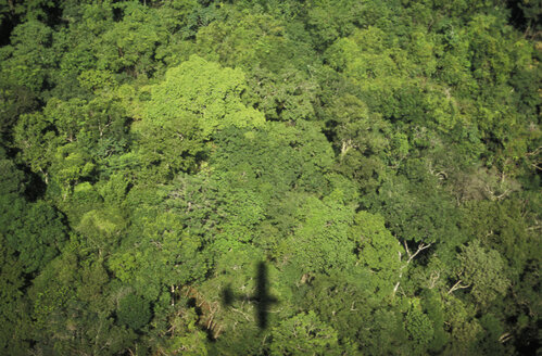 Guatemala, Dschungel - AGF00515